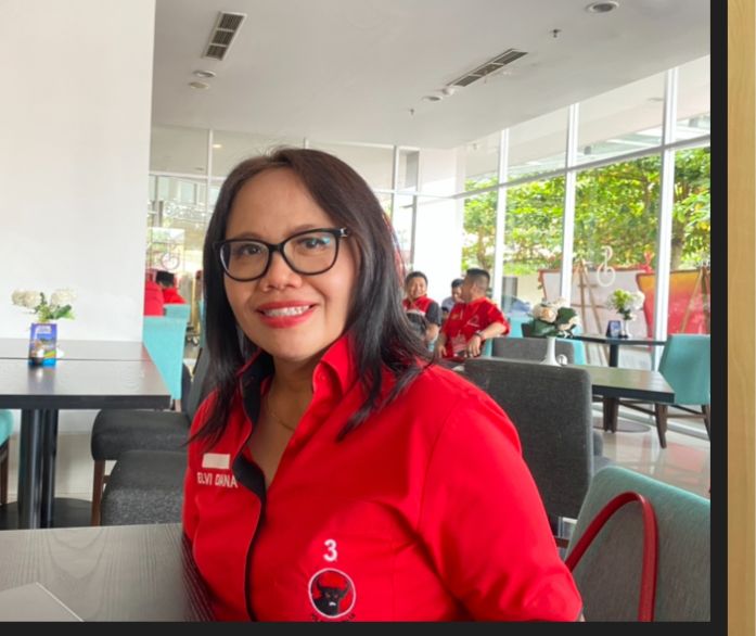 Anggota DPRD Provinsi Kepulauan Bangka Belitung sekaligus Sekretaris Komisi II, Elvi Diana (Ist)