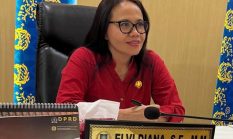 Elvi Diana Dorong OJK Edukasi Masif ke Masyarakat hingga Perbankan