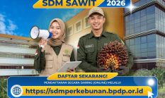 Pemerintah Buka Pendaftaran Program Beasiswa SDM Sawit 2026, Simak Informasinya